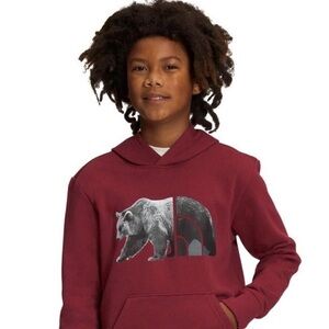 The north face Kids Burgundy Bear Hoodie